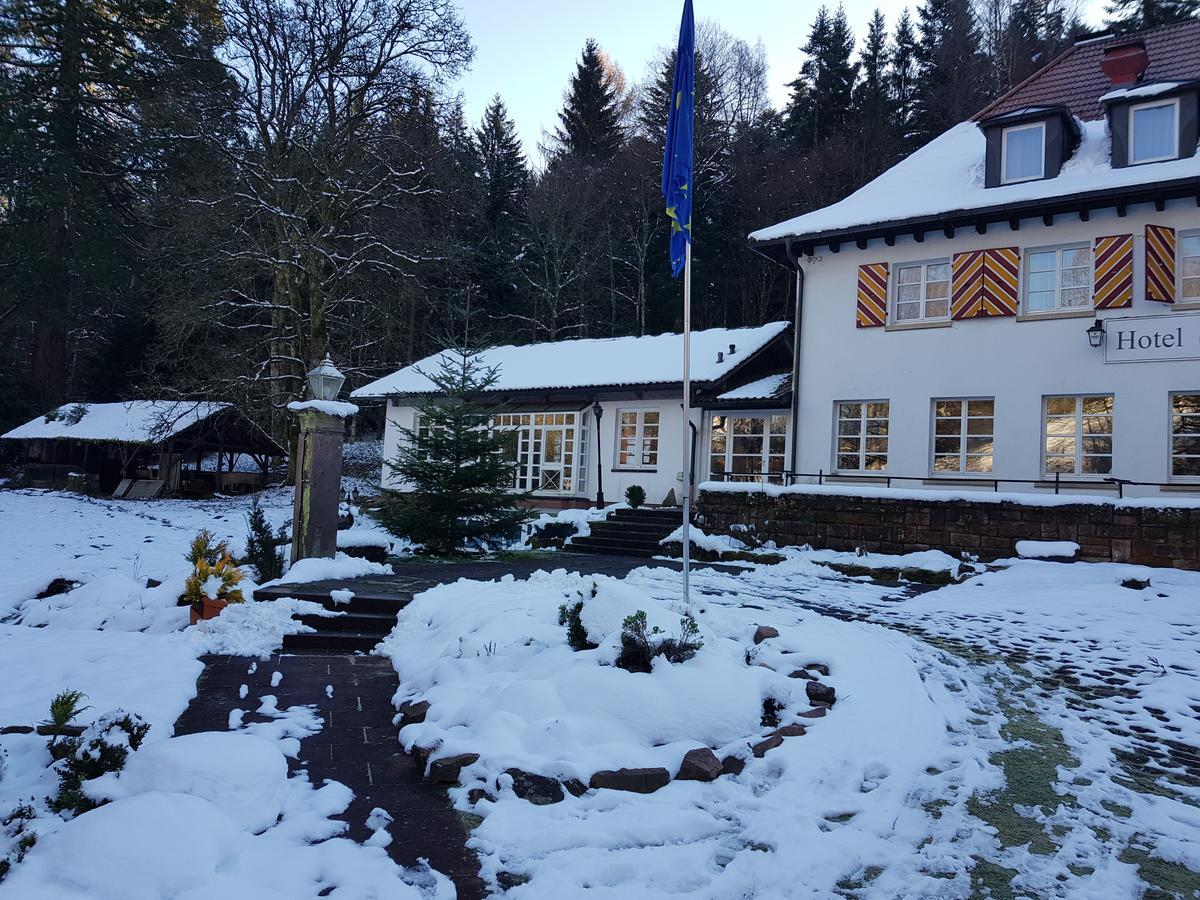 Gut Lauterbad Hotel Фройденштадт Экстерьер фото