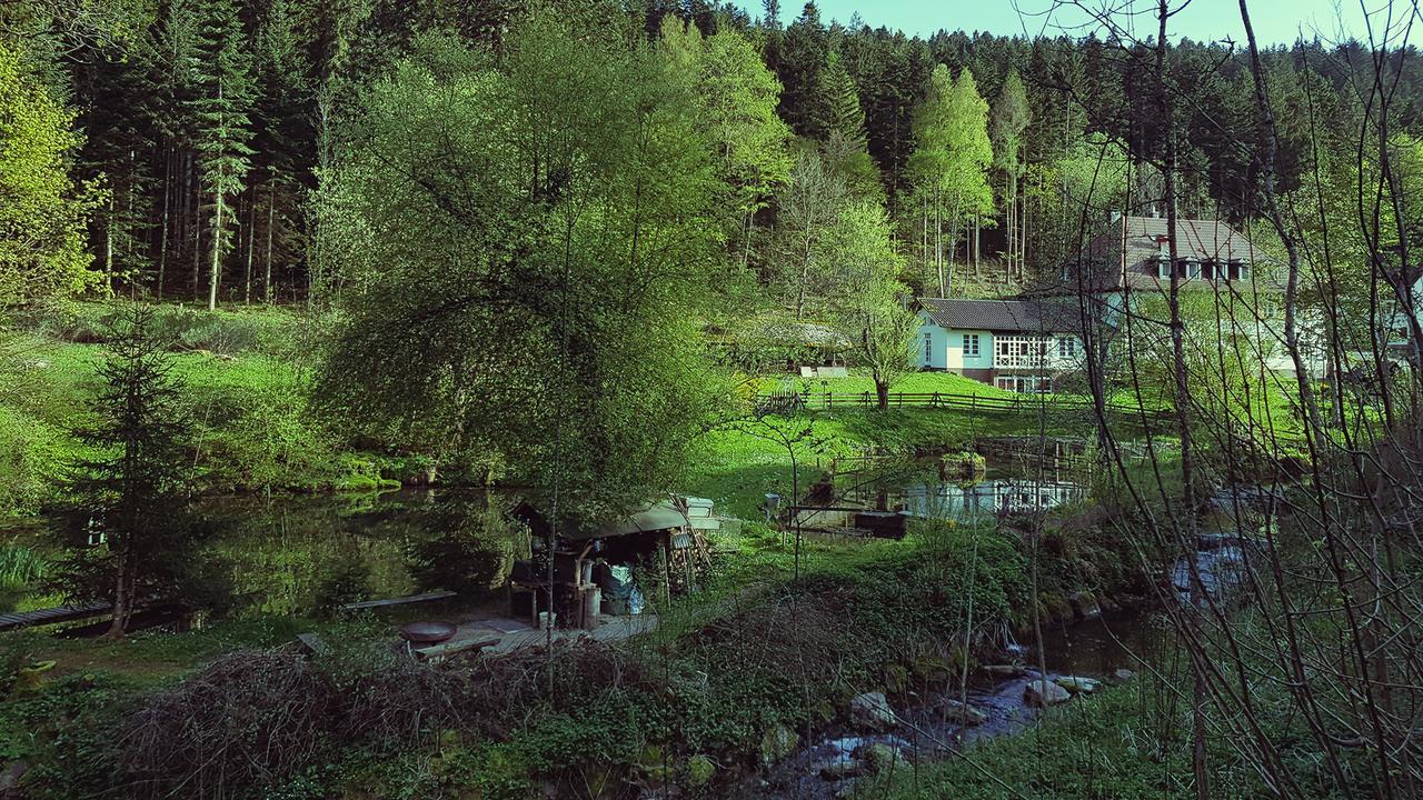 Gut Lauterbad Hotel Фройденштадт Экстерьер фото